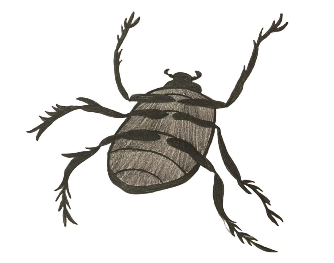 Metamorphosis Thrill